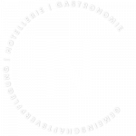 Noel Consulting Logo